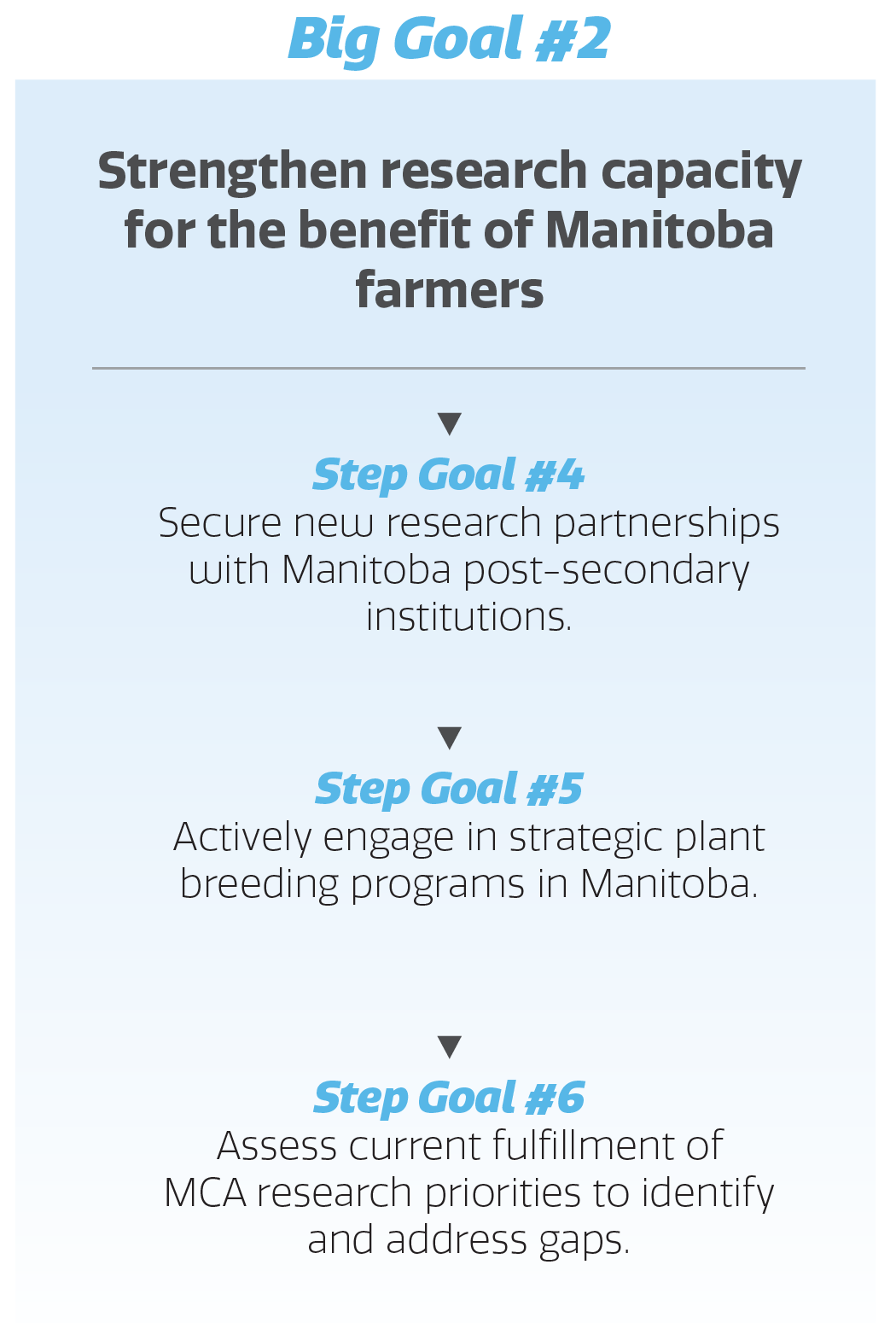 mca-2026-strat-plan-02