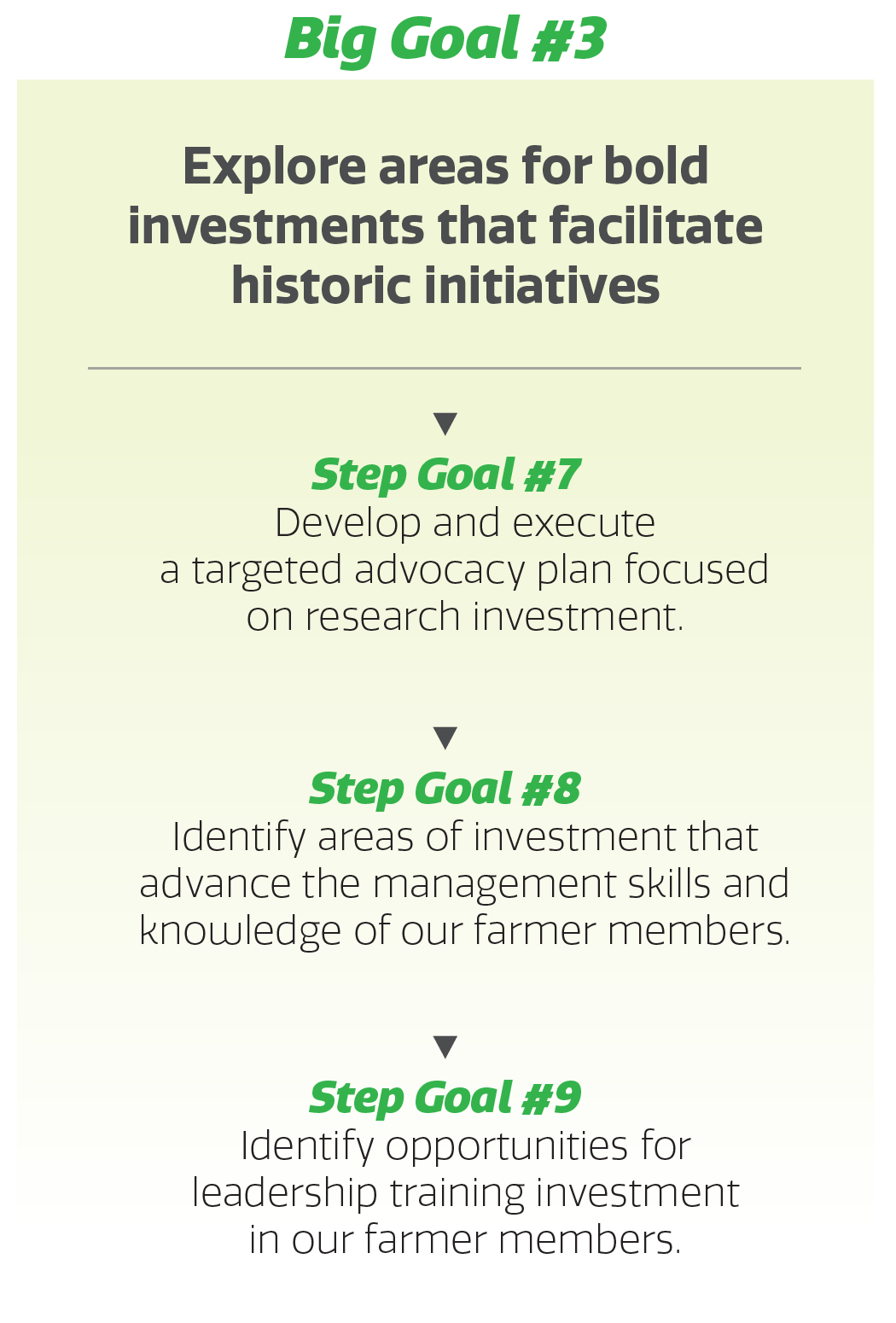 mca-2026-strat-plan-03