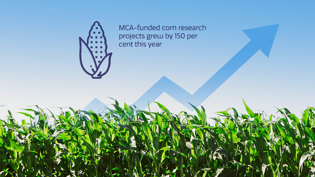 Identified research gaps and increased efficiency among all MCA research investments to maximize ROI for farmer members.