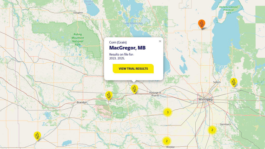 Accelerated on-farm innovation by supporting the adoption of new practices through farmer-led trials and collaborative learning