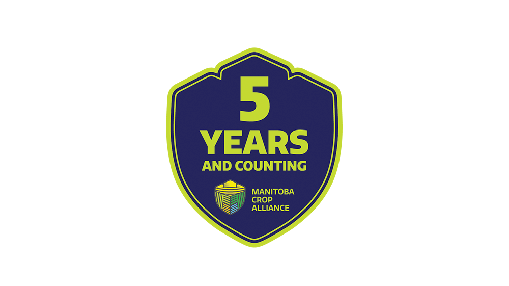 mca-comm-5-year-shield_min