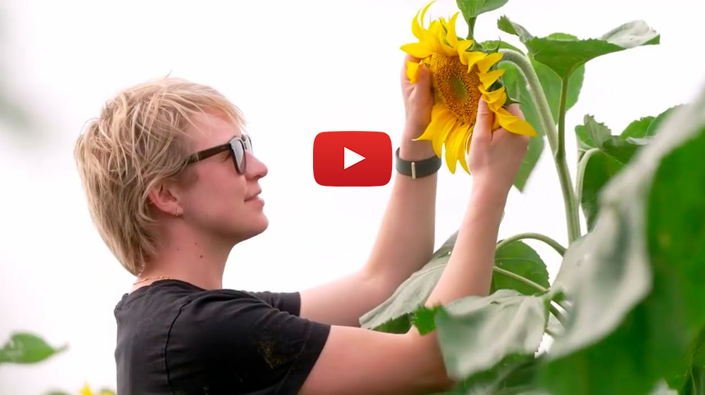 Supported the development of new crop varieties for farmers that make them more productive and sustainable.